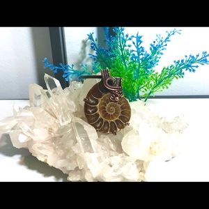 Genuine Ammonite Fossil Pendant Necklace